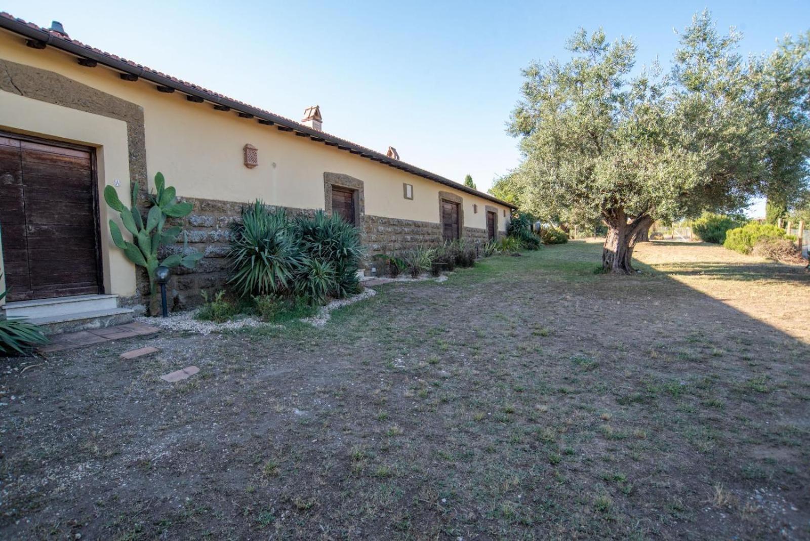 Agriturismo Cerrosughero Canino Exterior photo