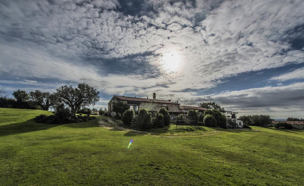 Agriturismo Cerrosughero Canino Exterior photo
